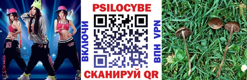Псилоцибиновые грибы Psilocybine cubensis  Купить  Горнозаводск 
